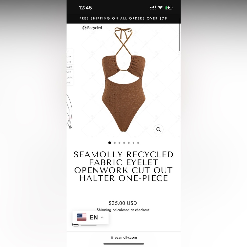 Seamolly one piece brown swim suit. Size large
